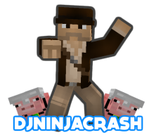 DJNinjaCrash