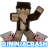 DJNinjaCrash
